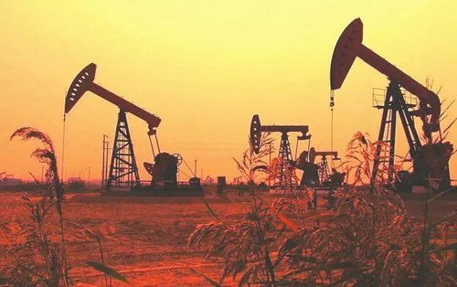 受到油市冲击,opec 可能会考虑进一步减产